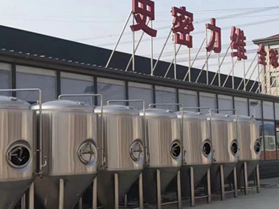 大悟精酿啤酒设备厂—如何判断精酿啤酒设备的密封件需要更换？